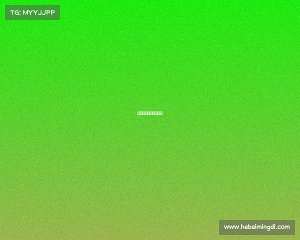 新浪体育上海申花最新