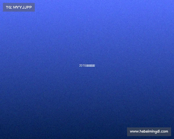 2015年全国残奥会