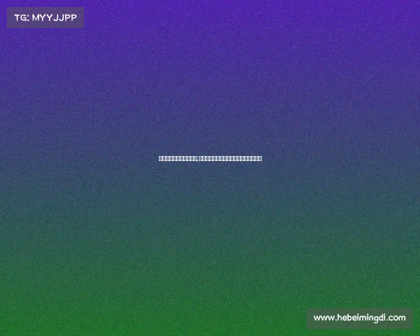 济南新星田径俱乐部电话,济南新星赛事璀璨启幕星耀泉城梦想征程