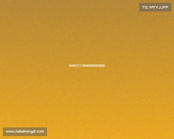 足球区赛事2024全球热点追踪深度分析与精彩回顾